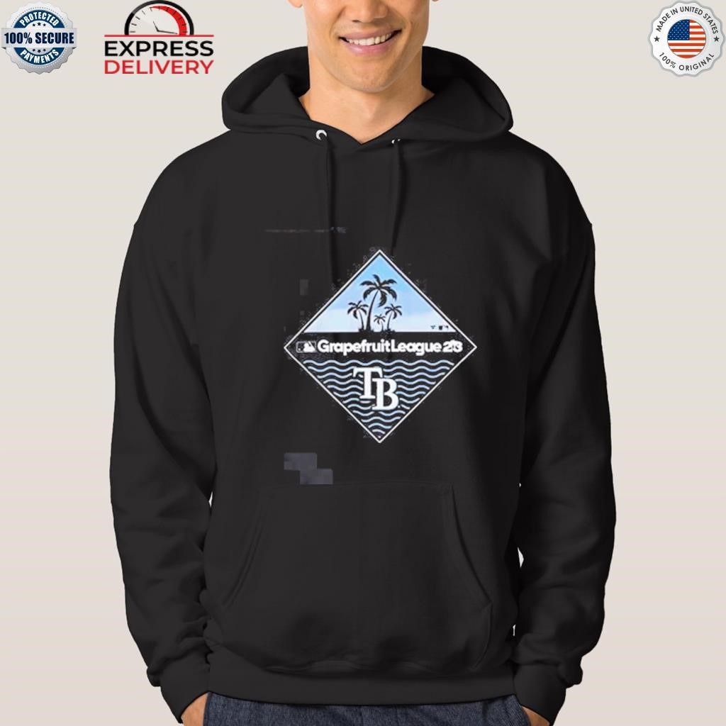 Official Tampa bay rays nike sunshine state baseball shirt, hoodie