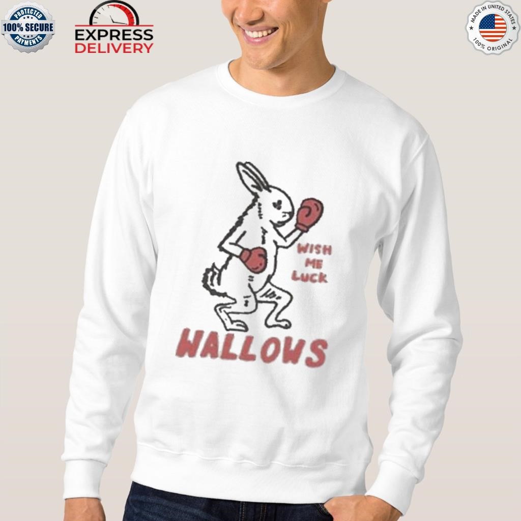 Wallows wish me luck shirt, hoodie, sweater, long sleeve and tank top